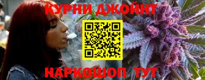 крисы Ливны