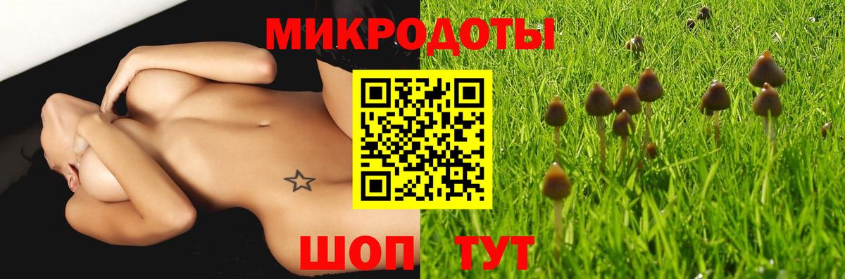 Псилоцибиновые грибы Psilocybine cubensis  Вход с VPN  Аксай 
